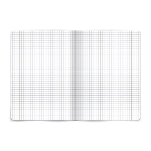 Zeszyt TOP-2000 fizyka A5 60k. 80g krata [mm:] 150x210 (400160589)