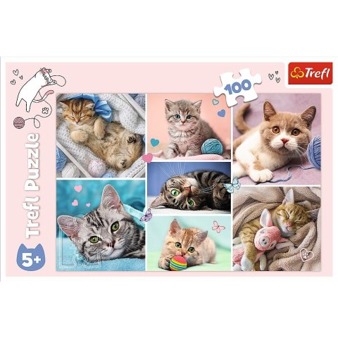 Puzzle Trefl W kocim świecie 100 el. (16420) Puzzle Trefl W kocim świecie 100 el. (16420)