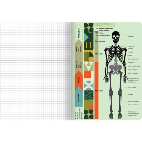 Zeszyt TOP-2000 biologia A5 60k. 70g krata (400169460) Zeszyt TOP-2000 biologia A5 60k. 70g krata (400169460)