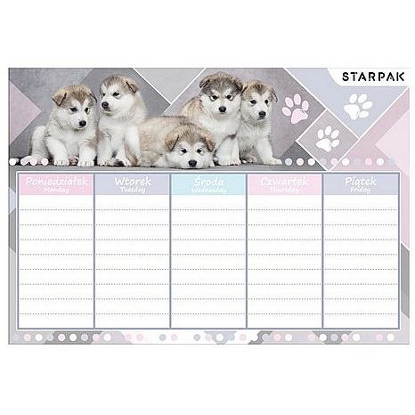 Plan lekcji Starpak Cuties (409084) Plan lekcji Starpak Cuties (409084)