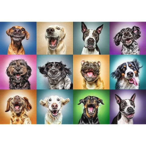 Puzzle Trefl zabawne psie portrety 1000 el. (10462) Puzzle Trefl zabawne psie portrety 1000 el. (10462)