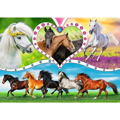 Puzzle Trefl Piękne konie 200 el. (13248) Puzzle Trefl Piękne konie 200 el. (13248)