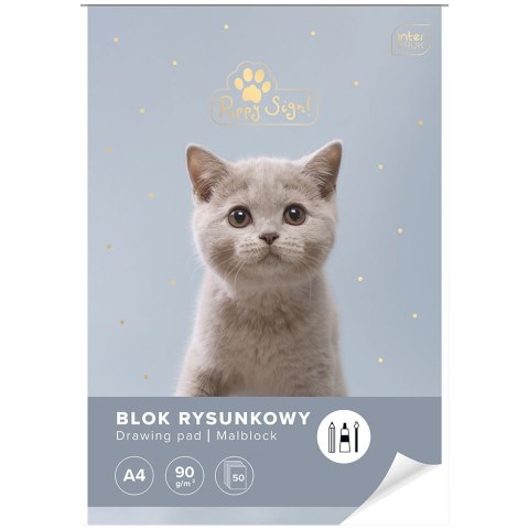 Blok rysunkowy Interdruk bloki A4 biały 90g 50k Blok rysunkowy Interdruk bloki A4 biały 90g 50k