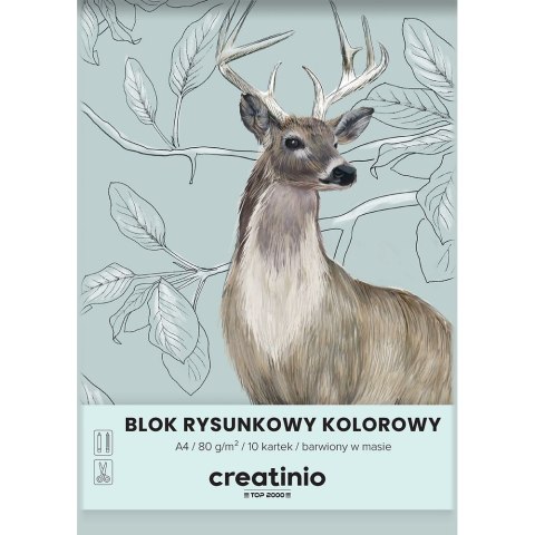 Blok rysunkowy Top 2000 A4 kolorowy 80g 10k (400176665) Blok rysunkowy Top 2000 A4 kolorowy 80g 10k (400176665)