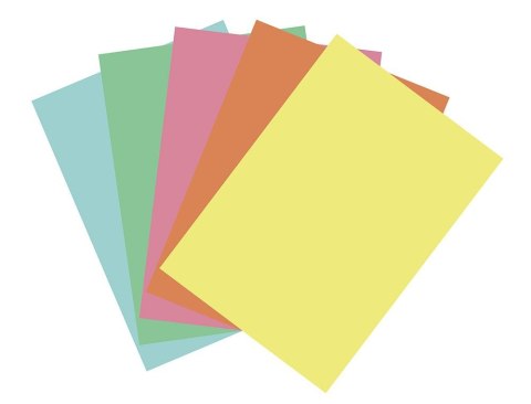 Papier ksero Flamingo pastelowy A4 mix 100k. 80g Papier ksero Flamingo pastelowy A4 mix 100k. 80g