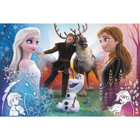 Puzzle Trefl Frozen 2 300 el. (23006) Puzzle Trefl Frozen 2 300 el. (23006)