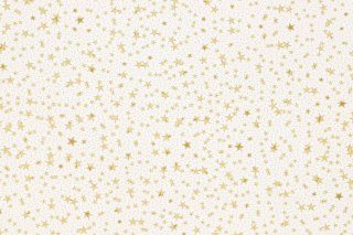 Torba prezentowa torebka BN folia [mm:] 400x500 (S13)