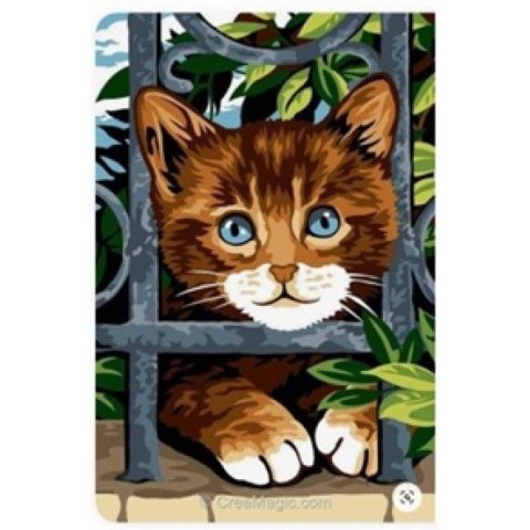 Zestaw kreatywny Norimpex malowanie po numerach - kotek za płotem 30x40cm (NO-1007583) Zestaw kreatywny Norimpex malowanie po numerach - kotek za płotem 30x40cm (NO-1007583)