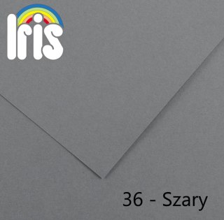 Brystol Canson Iris 36 B1 szary 240g 25k [mm:] 700x1000
