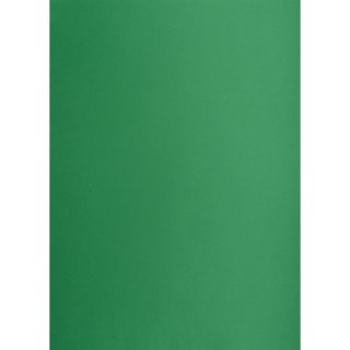 Brystol Creatinio zielony ciemny B1 zielony ciemny 225g 1k