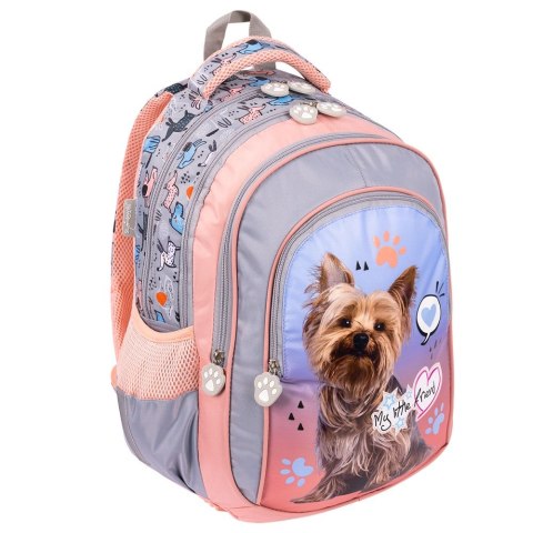 Plecak Bambino My Little Friend Kitty GREY YORK 5903235668456 4-KOMORY (BPL-58) Plecak Bambino My Little Friend Kitty GREY YORK 5903235668456 4-KOMORY (BPL-58)