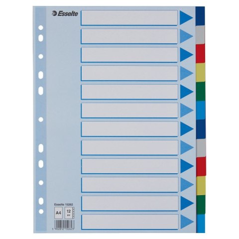 Przekładka czysta Esselte A4 mix 12k (15262) Przekładka czysta Esselte A4 mix 12k (15262)