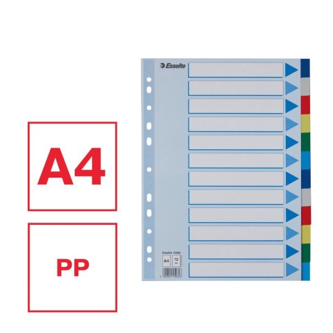 Przekładka czysta Esselte A4 mix 12k (15262) Przekładka czysta Esselte A4 mix 12k (15262)