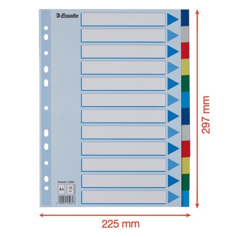 Przekładka czysta Esselte A4 mix 12k (15262) Przekładka czysta Esselte A4 mix 12k (15262)
