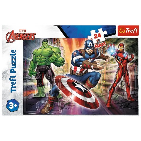 Puzzle Trefl 24 el. (14321) Puzzle Trefl 24 el. (14321)
