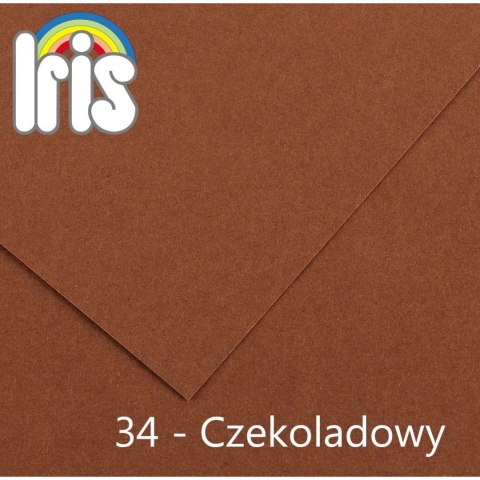 Brystol Canson A4 czekoladowy 185g 50k Brystol Canson A4 czekoladowy 185g 50k