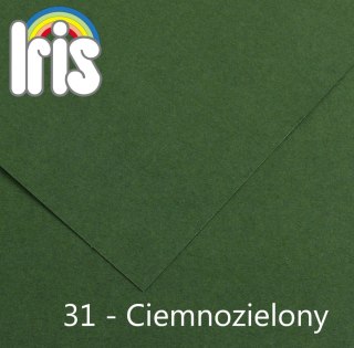 Brystol Canson Iris 31 zielony ciemny 150g 25k [mm:] 500x650