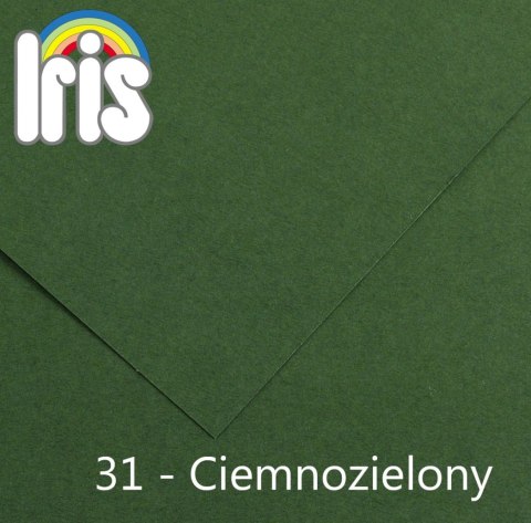 Brystol Canson Iris 31 zielony ciemny 150g 25k [mm:] 500x650
