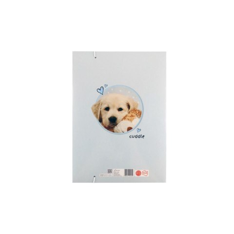 Teczka kartonowa na gumkę z gumką The Sweet Pets Kids A4 miks Beniamin