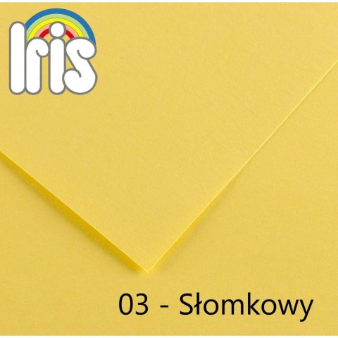 Brystol Canson A4+ żółty ciemny 180g 50k