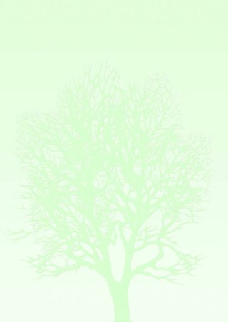 Papier ozdobny (wizytówkowy) Galeria Papieru A4 100g (230410)