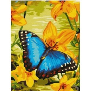 Zestaw kreatywny Norimpex malowanie po numerach - motyl 30x40cm (NO-1007571)