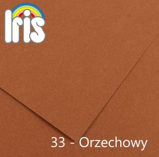 Brystol Canson Iris 33 B1 orzechowy 240g 25k [mm:] 700x1000