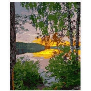 Zestaw kreatywny Norimpex malowanie po numerach - brzoza 40x50cm (NO-1008502)