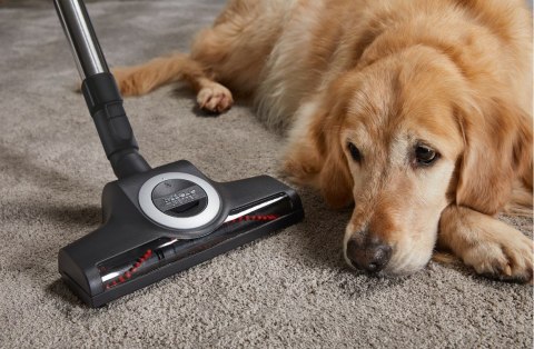 Odkurzacz MIELE Complete C3 Cat&Dog Flex Power Line Odkurzacz MIELE Complete C3 Cat&Dog Flex Power Line