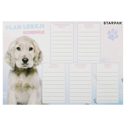 Plan lekcji Starpak Pies (536136) Plan lekcji Starpak Pies (536136)