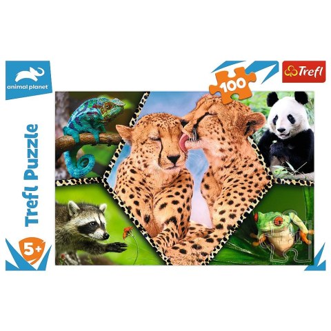 Puzzle Trefl Piękno natury 100 el. (16424) Puzzle Trefl Piękno natury 100 el. (16424)