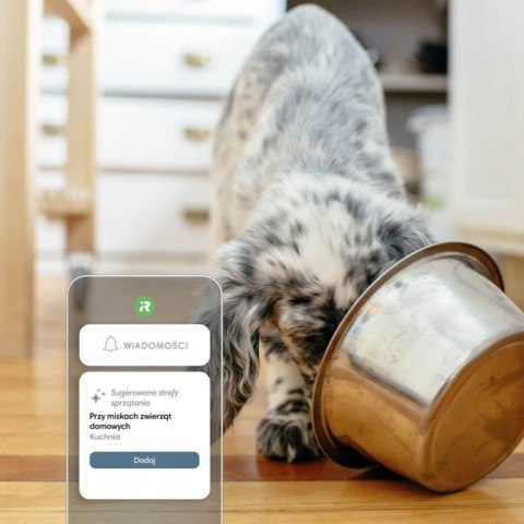 Robot odkurzająco-mopujący iRobot Roomba Combo j9+ Robot odkurzająco-mopujący iRobot Roomba Combo j9+