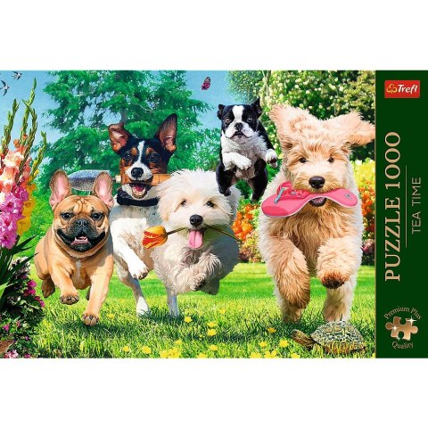 Puzzle Trefl Premium Plus Nadchodzą kłopoty 1000 el. (10800) Puzzle Trefl Premium Plus Nadchodzą kłopoty 1000 el. (10800)