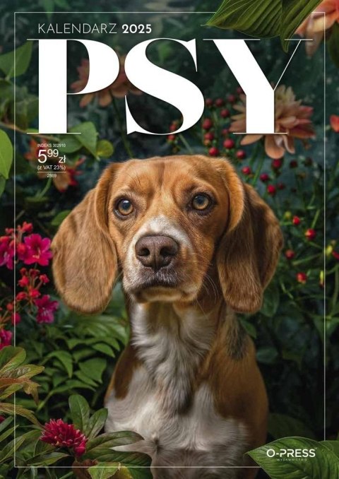 Kalendarz ścienny A4 Press PSY A4 (5904830713374) Kalendarz ścienny A4 Press PSY A4 (5904830713374)