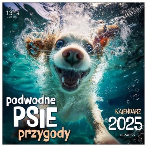 Kalendarz ścienny PODWODNIE PSIE PRZYGODY Press 33x33 330mm x 330mm (5904830713619) Kalendarz ścienny PODWODNIE PSIE PRZYGODY Press 33x33 330mm x 330mm (5904830713619)