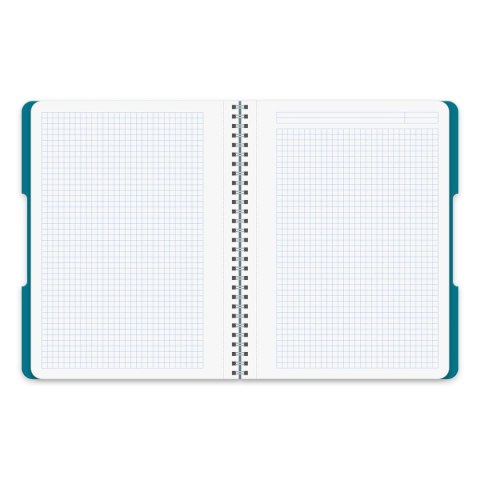 Kołozeszyt (kołobrulion) Herlitz ECO COLORS B5 80k. kratka (9501445)