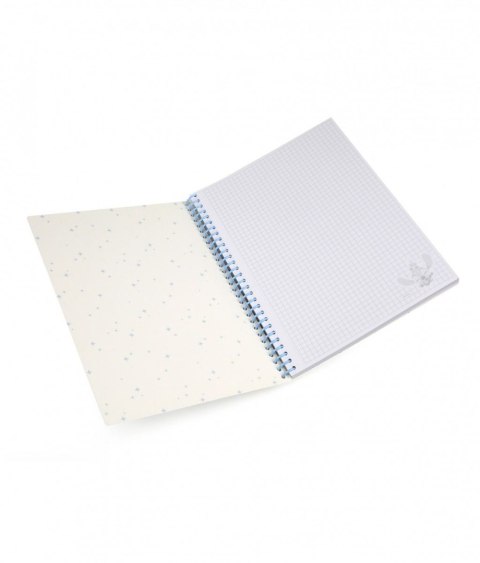 Kołozeszyt (kołobrulion) Patio Disney B5 100k. 80g krata (75002PTR) Kołozeszyt (kołobrulion) Patio Disney B5 100k. 80g krata (75002PTR)