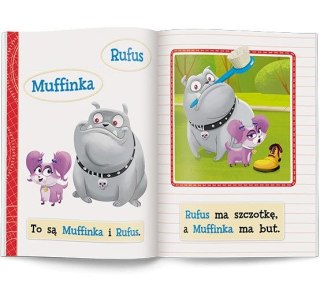 Książeczka edukacyjna Ameet Disney Uczy. Przygoda z Czytaniem. Będę czytać (PCG 9301)