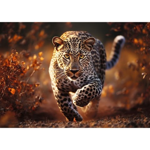 Puzzle Trefl Premium Plus Dziki Leopard 1000 el. (10818) Puzzle Trefl Premium Plus Dziki Leopard 1000 el. (10818)