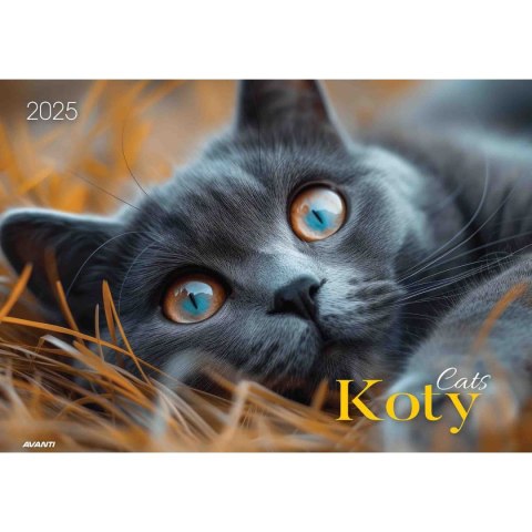 Kalendarz ścienny Avanti KOTY wieloplanszowy 285mm x 410mm (KA-1) Kalendarz ścienny Avanti KOTY wieloplanszowy 285mm x 410mm (KA-1)