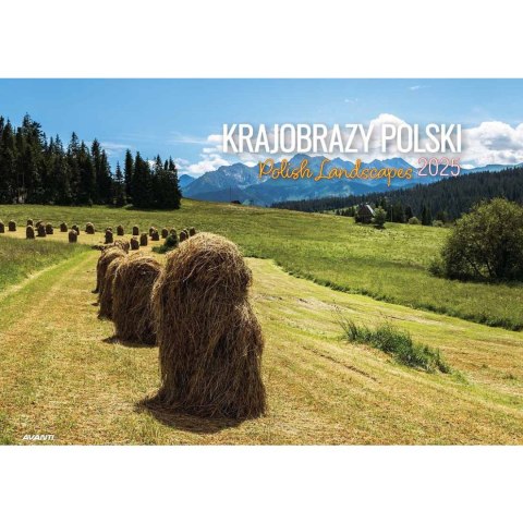 Kalendarz ścienny Avanti KRAJOBRAZY POLSKI wieloplanszowy 285mm x 410mm (KA-7) Kalendarz ścienny Avanti KRAJOBRAZY POLSKI wieloplanszowy 285mm x 410mm (KA-7)