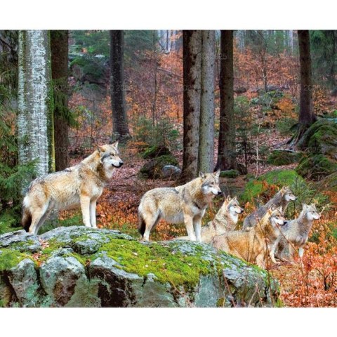 Kalendarz ścienny DZIKA PRZYRODA Lucrum WIELOPLANSZOWY 12K 320mm x 470mm (RW7)