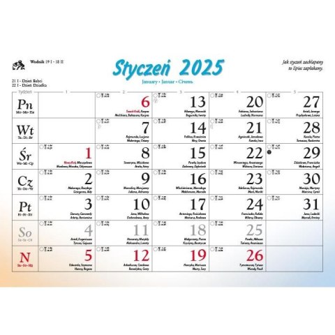 Kalendarz ścienny LEŚNI PRZYJACIELE Lucrum rodzinny 2025 280mm x 400mm (WL07)