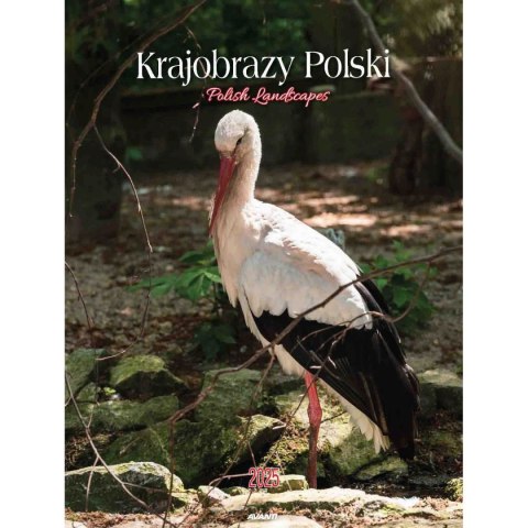 Kalendarz ścienny MAŁY SPIRALA Avanti Krajobrazy 230mm x 305mm (KSMS-1) Kalendarz ścienny MAŁY SPIRALA Avanti Krajobrazy 230mm x 305mm (KSMS-1)