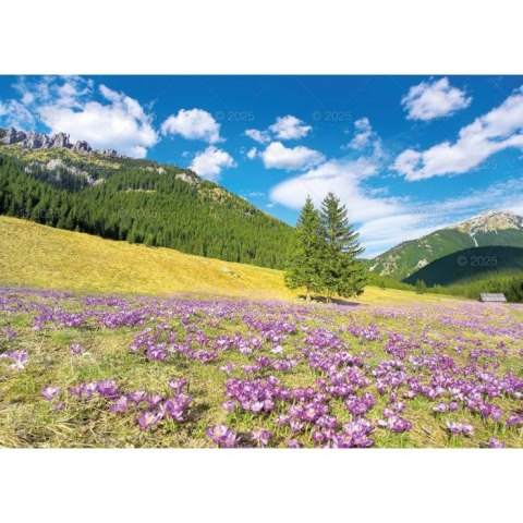 Kalendarz ścienny TATRY Lucrum rodzinny 2025 280mm x 400mm (WL05)