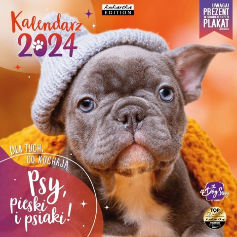 Kalendarz ścienny Kukartka classic PSY 300mm x 300mm Kalendarz ścienny Kukartka classic PSY 300mm x 300mm