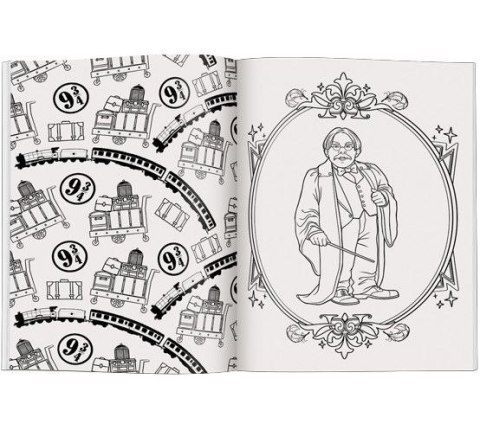 Książka dla dzieci Ameet Wizarding World. Magiczna kolorowanka (FCB 5101) Książka dla dzieci Ameet Wizarding World. Magiczna kolorowanka (FCB 5101)