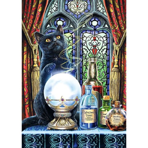 Puzzle Trefl Magic Collection Premium Plus Uczeń czarownicy 1000 el. (10898) Puzzle Trefl Magic Collection Premium Plus Uczeń czarownicy 1000 el. (10898)