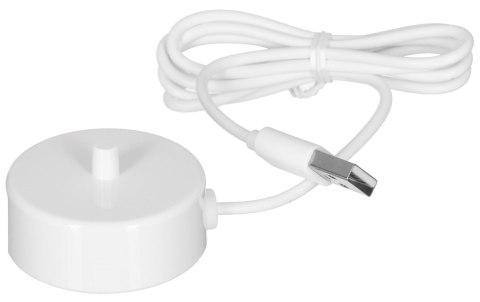 Elektryczna szczoteczka soniczna Sonicare | HX3601/01 | Akumulator | Dla dzieci | Liczba główek szczoteczki w zestawie 1 | Liczb Elektryczna szczoteczka soniczna Sonicare | HX3601/01 | Akumulator | Dla dzieci | Liczba główek szczoteczki w zestawie 1 | Liczb
