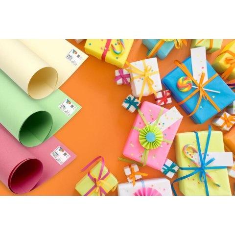 Brystol Creatinio CZERONY B2 Czerwony 225g 25k (400150331) Brystol Creatinio CZERONY B2 Czerwony 225g 25k (400150331)